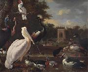 A Pelican and other exotic birds in a park unknow artist